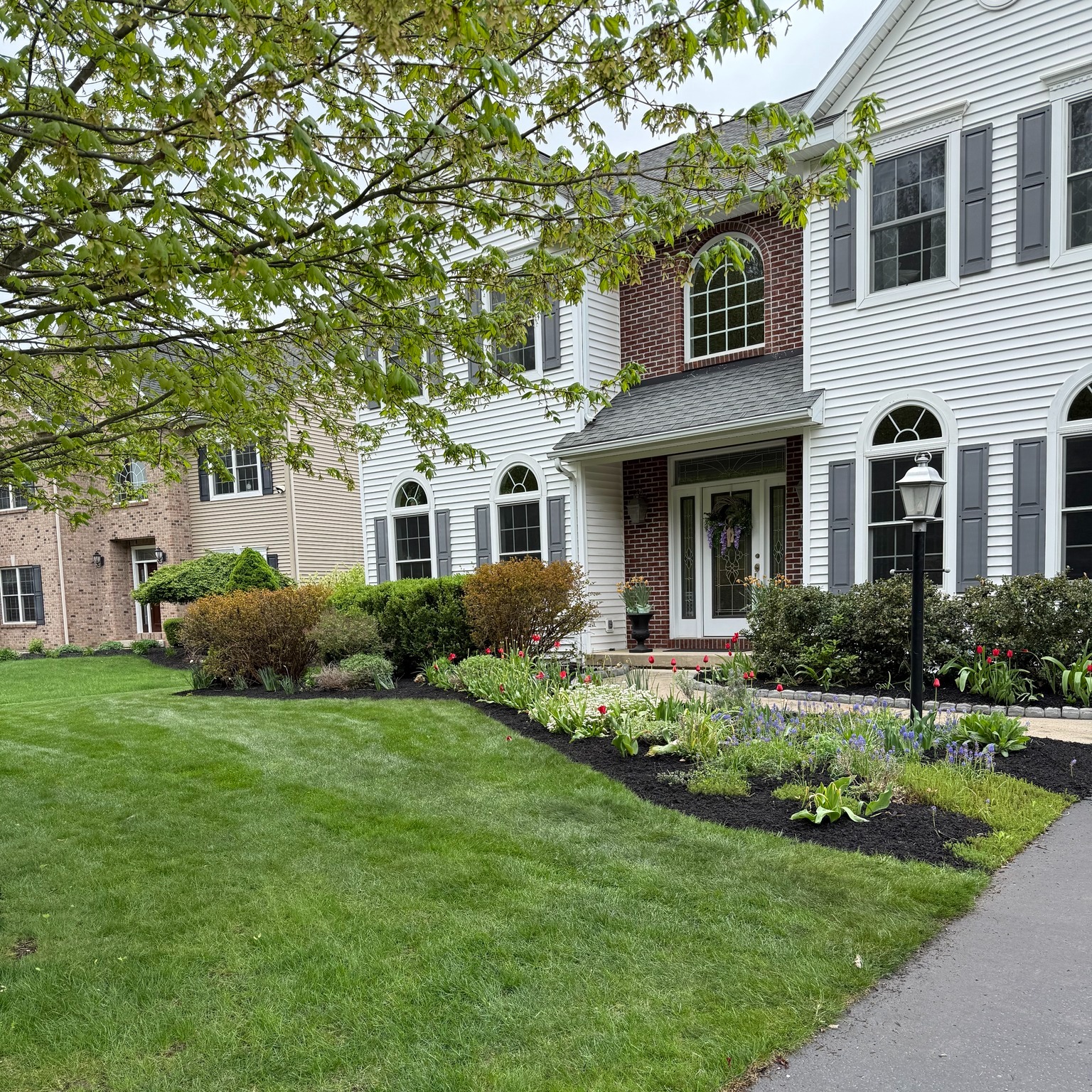 Landscaping project