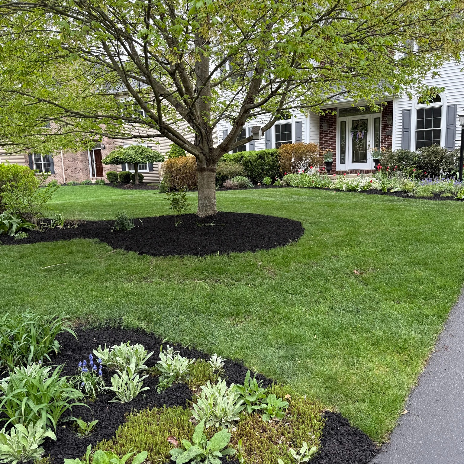 Beautiful paver walkway and landscaping
