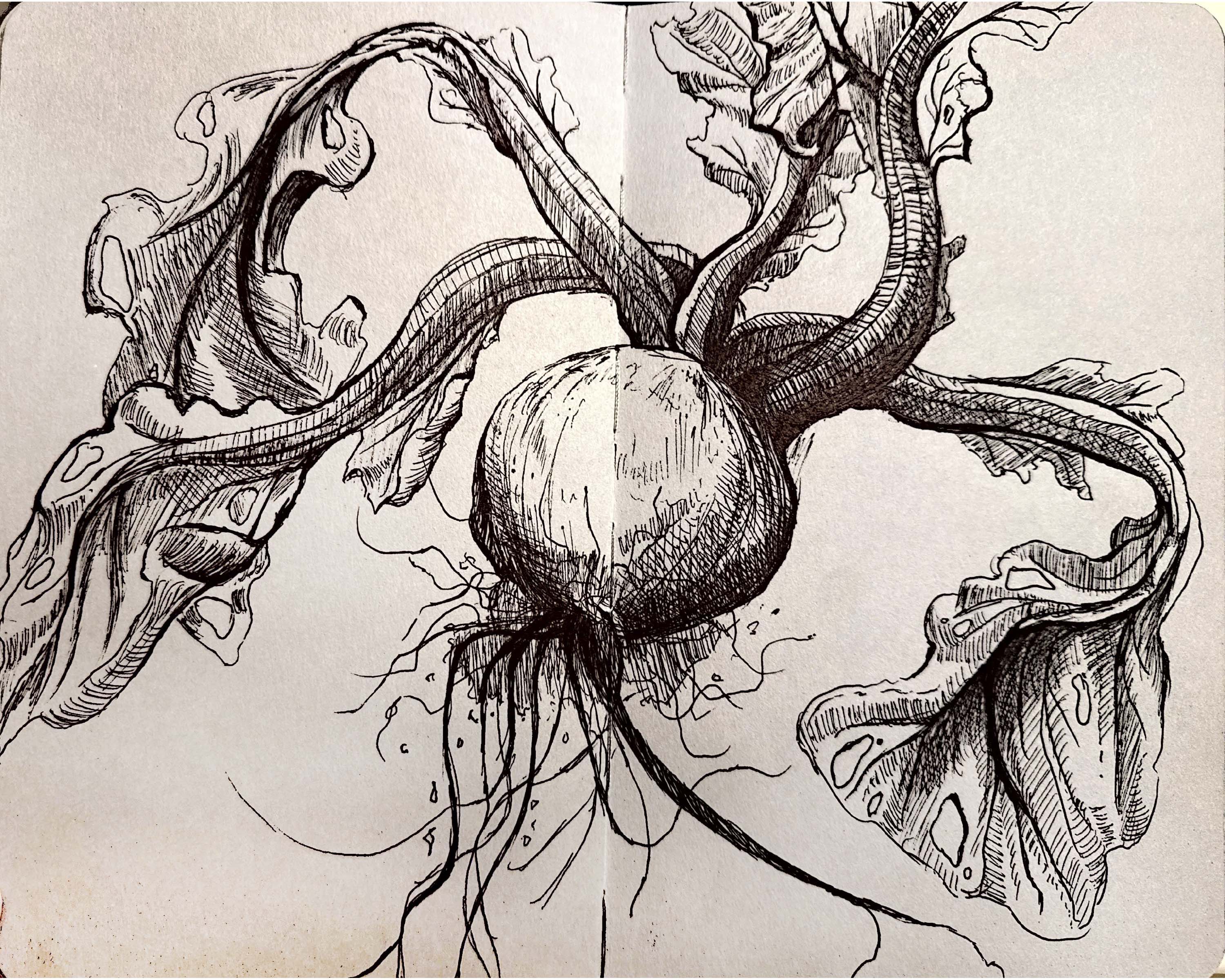 Study 1