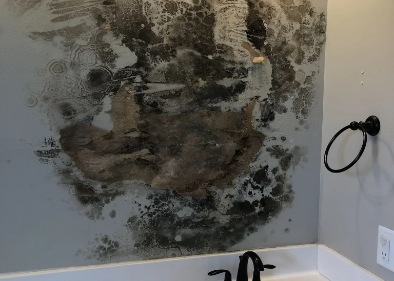 Severe mold damage on a wall requiring remediation in Louisiana