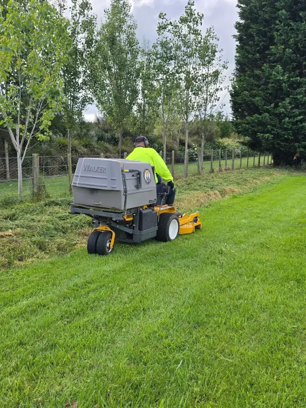 Garden project 2