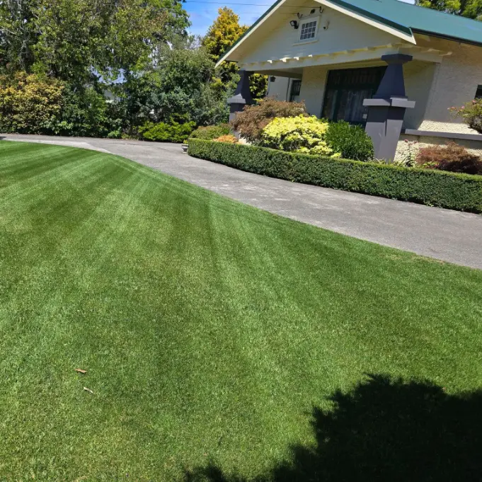 Project photo 19