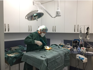 Surgery Operating Theatre