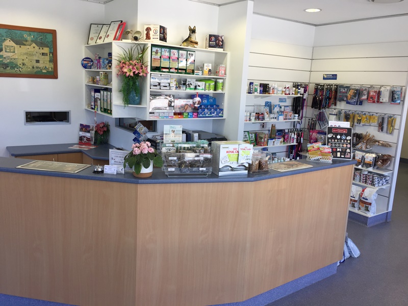 Clinic Reception