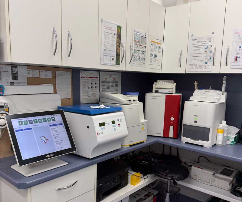 Pathology Lab