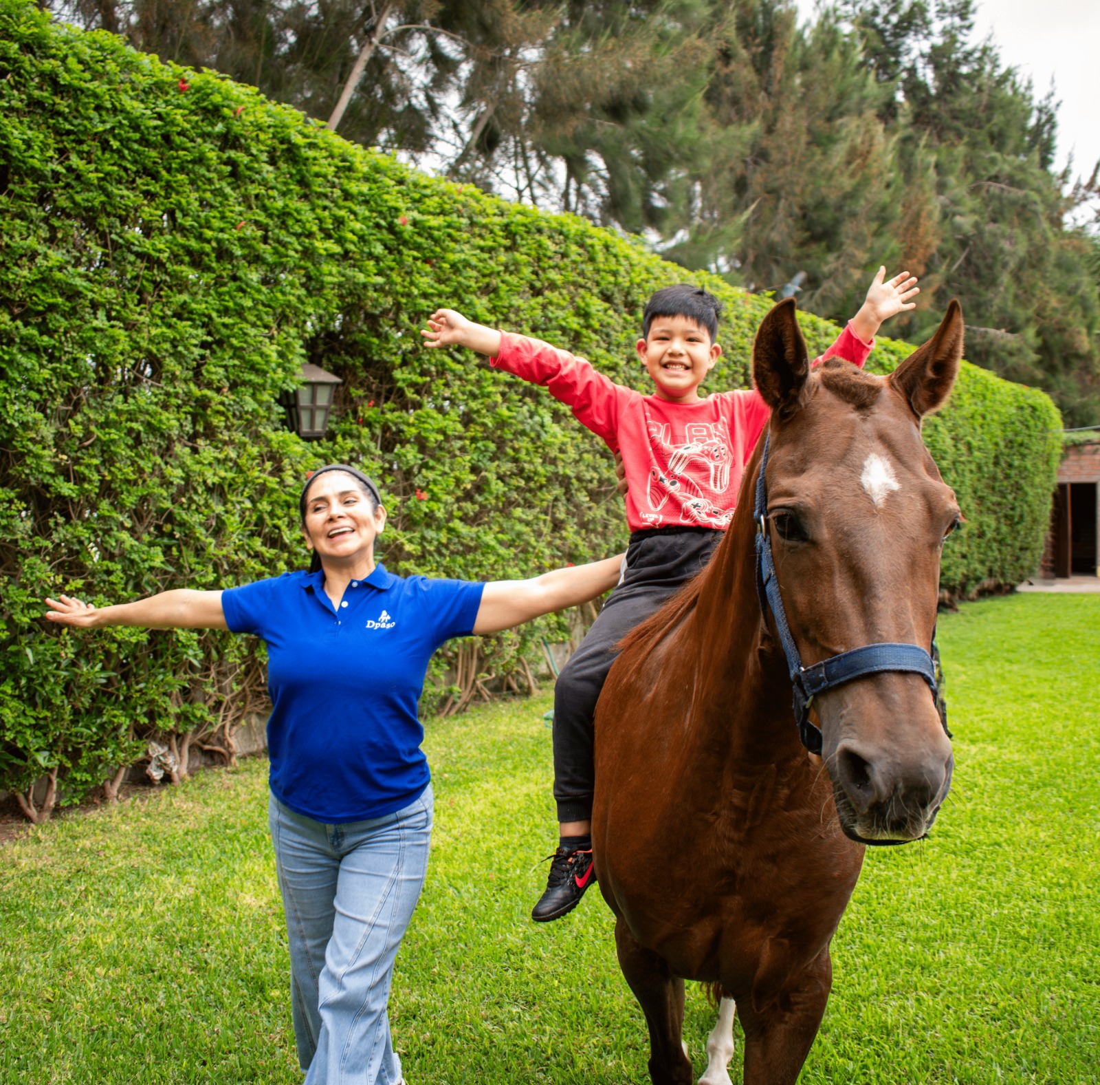 Equinoterapia