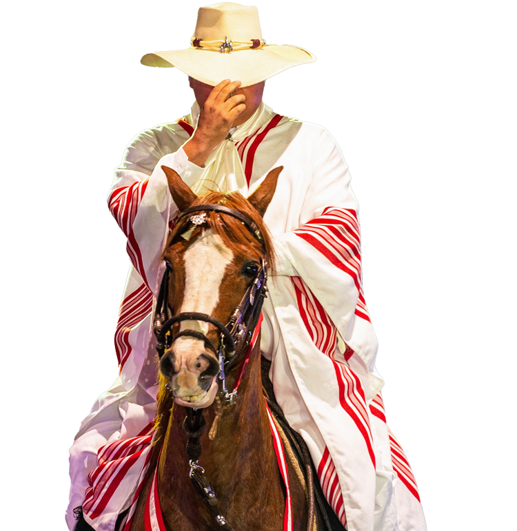 Caballo Peruano de Paso