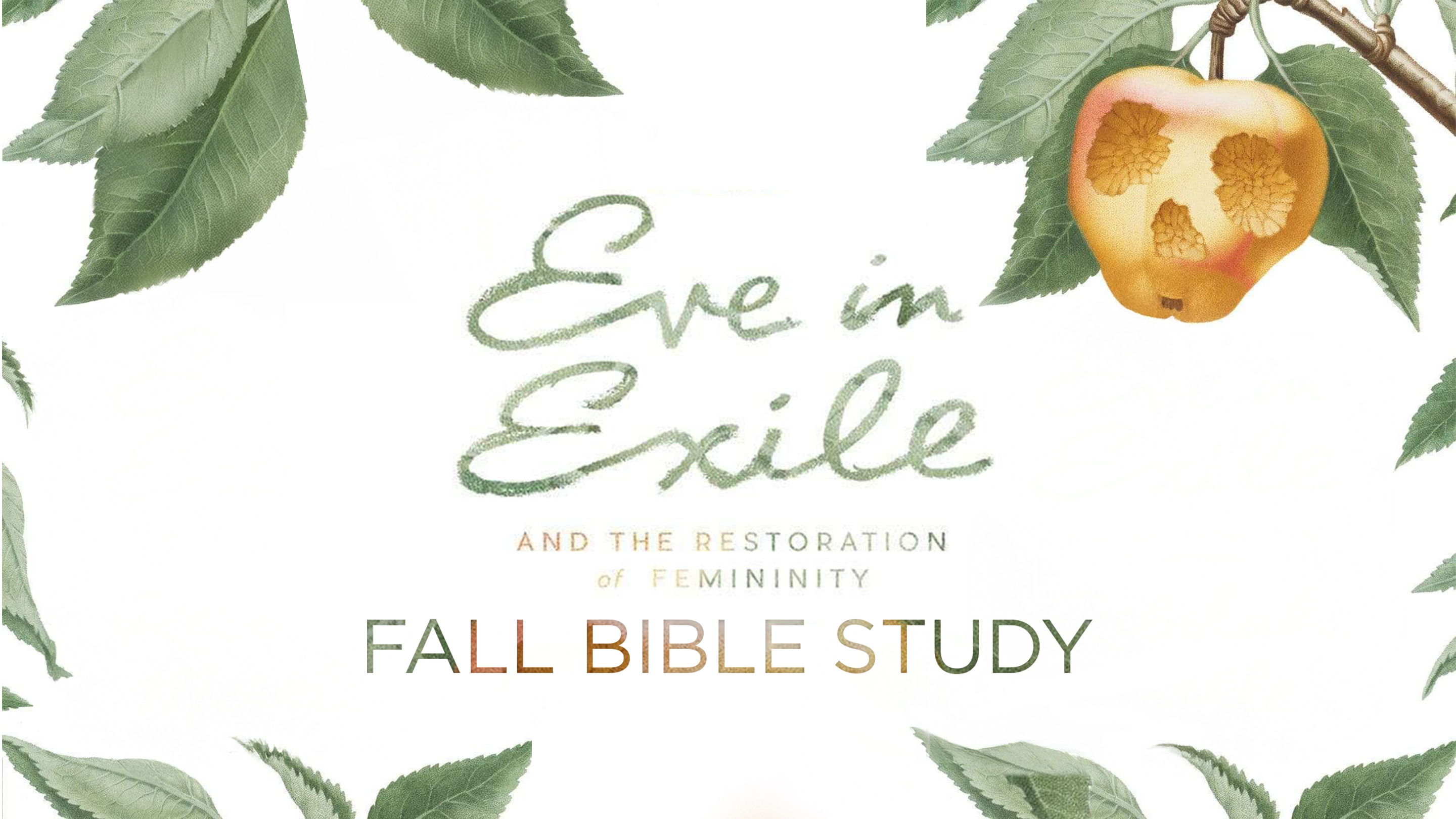 Fall Women's Bible Study