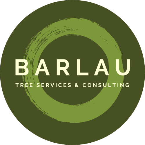 Barlau Tree Services Barlau Tree Services & Consulting website redesign and local SEO by TradieTrackr