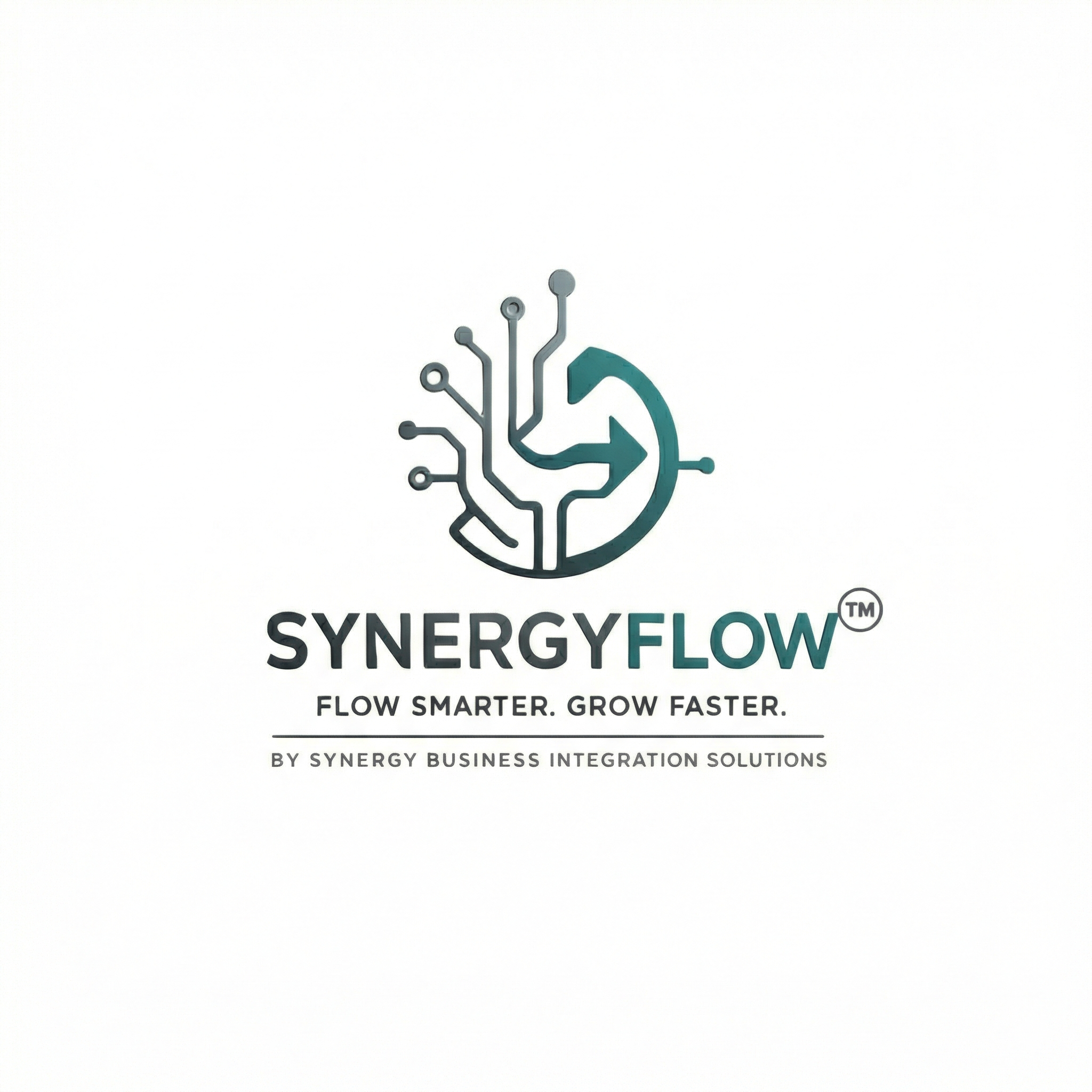 SynergyFlow