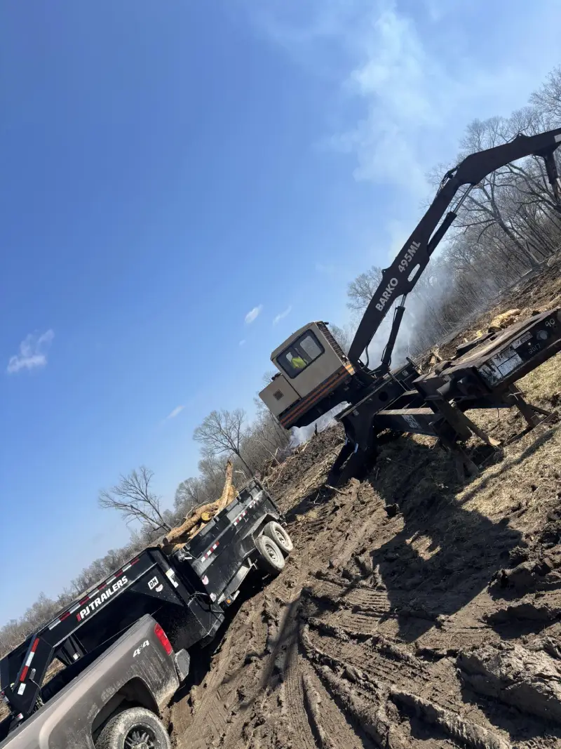 Excavator loading logs onto dump truck