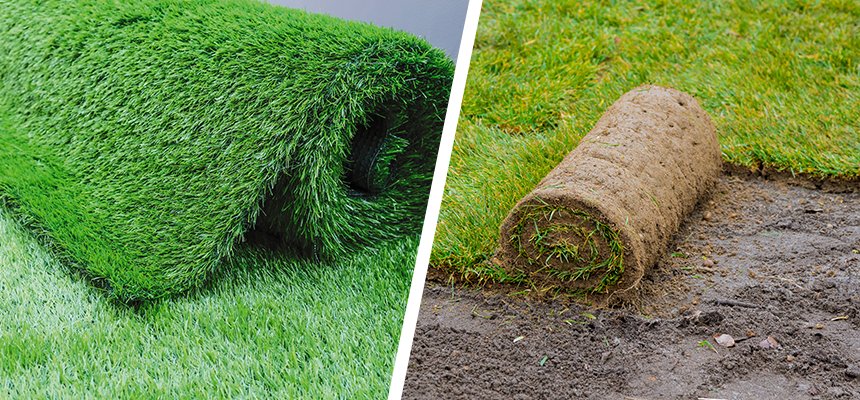 Sod Installation