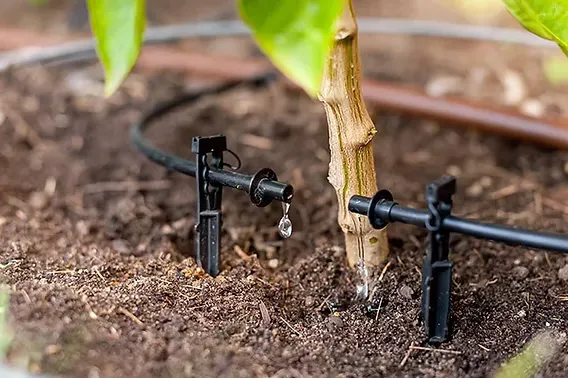 Custom Drip and Specialty Irrigation