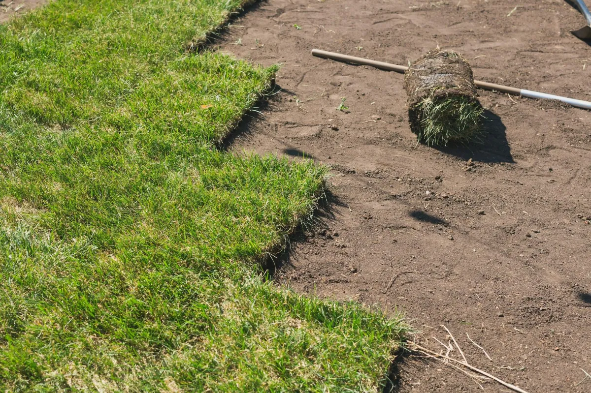 Premium Residential Sod Installation
