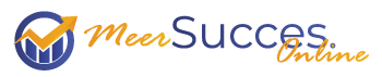 MeerSucces.Online Logo
