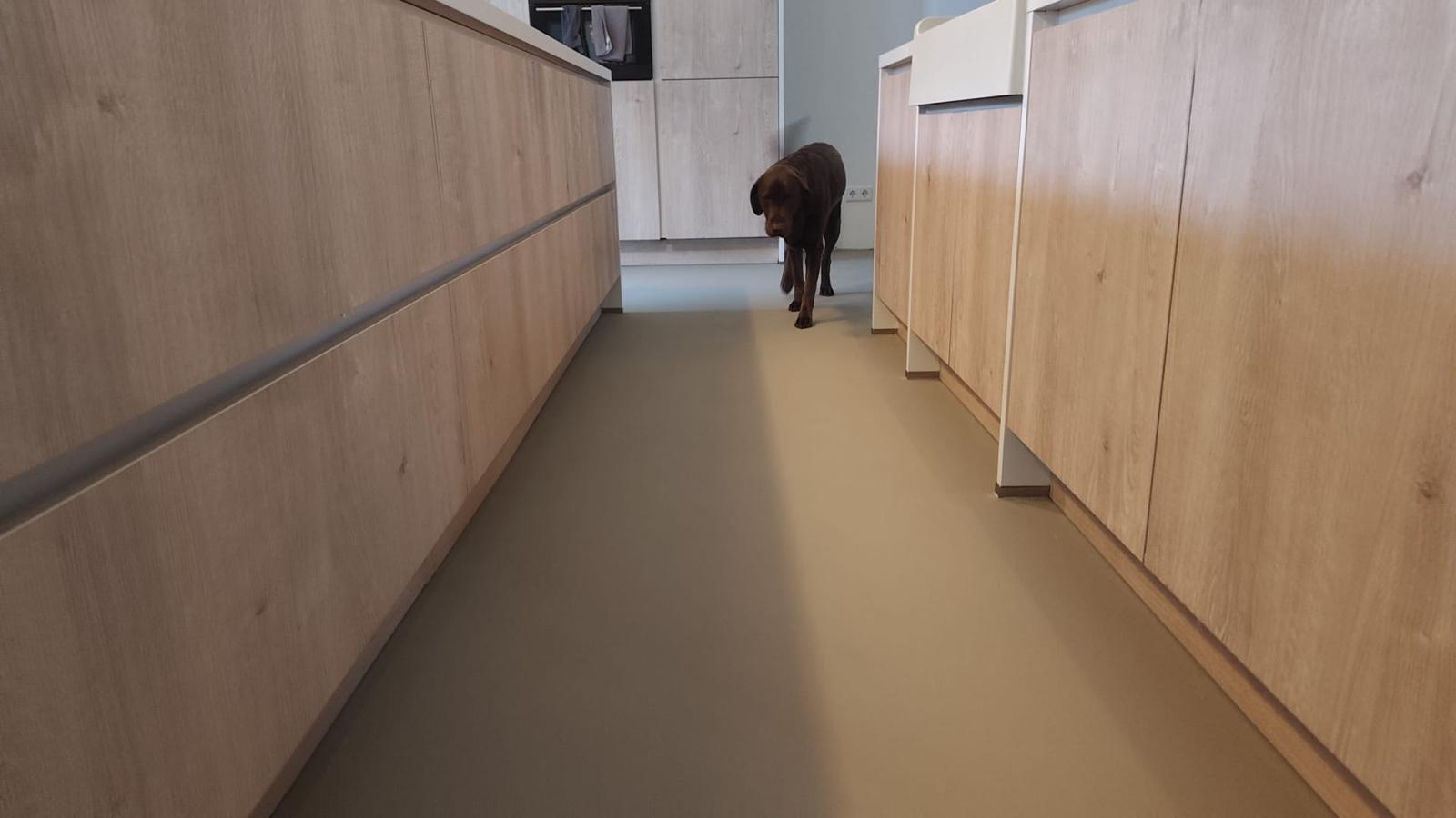 Lavapox vloer met hond