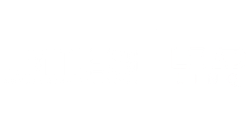 Limitless Enterprise Solutions | Lead LinQ
