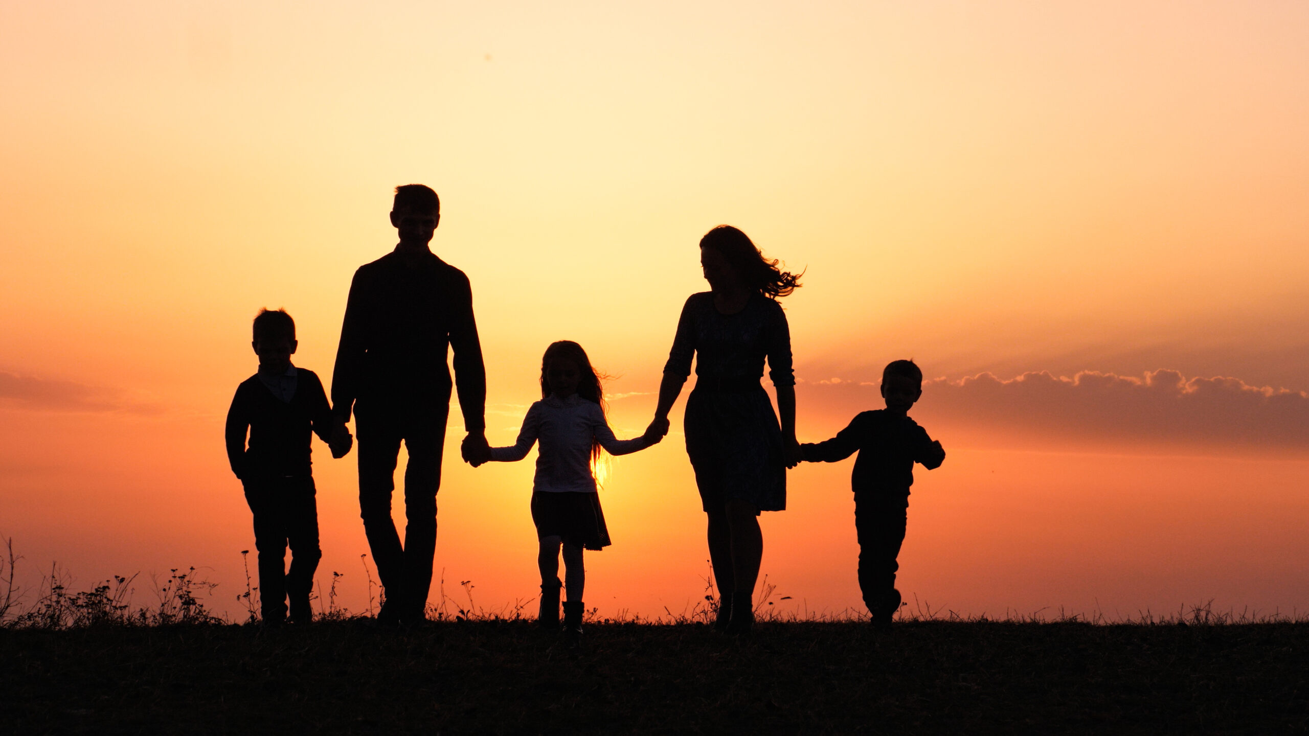 Displaced Families