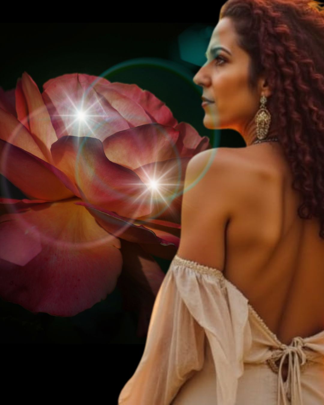 Rose background