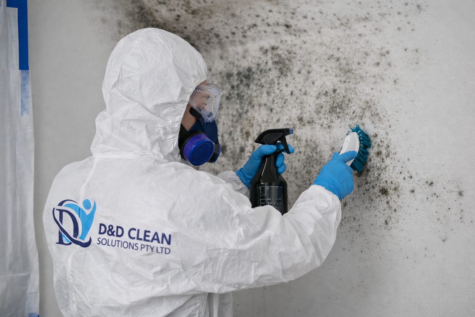 D&D Clean Solutions technician cleaning mould