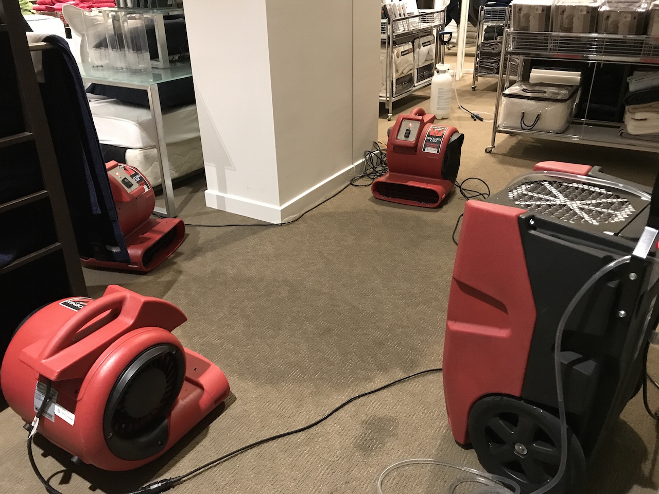 Water damage restoration and structural drying