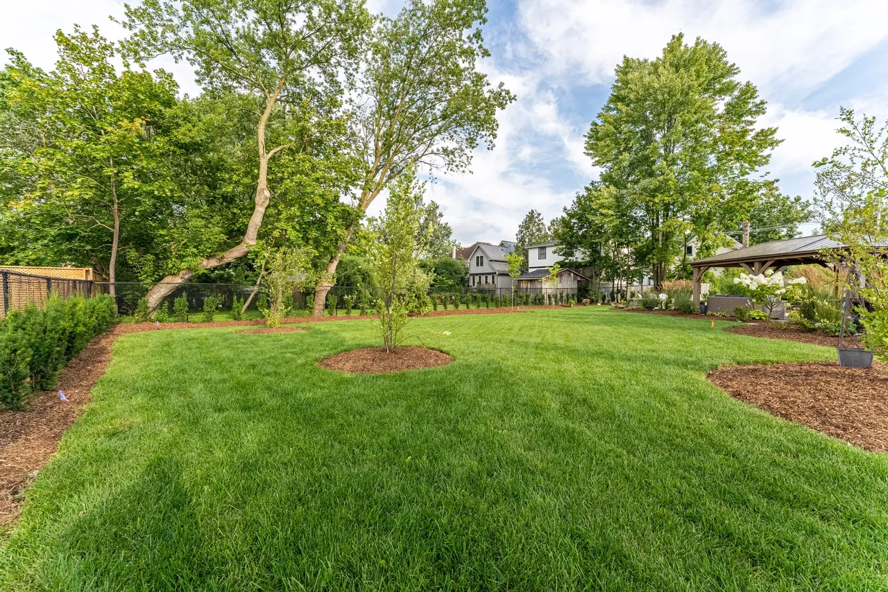 Expansive Lawn and Tree Planting London Ontario