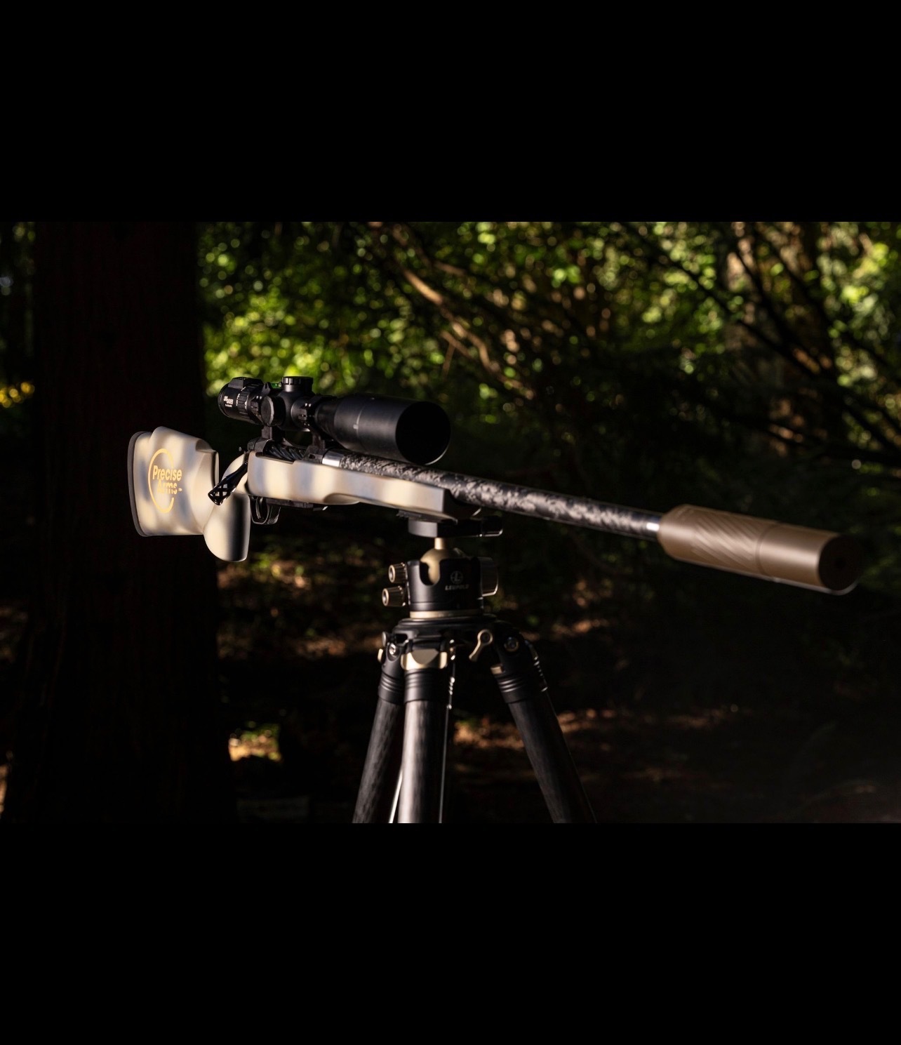 Custom Rifle