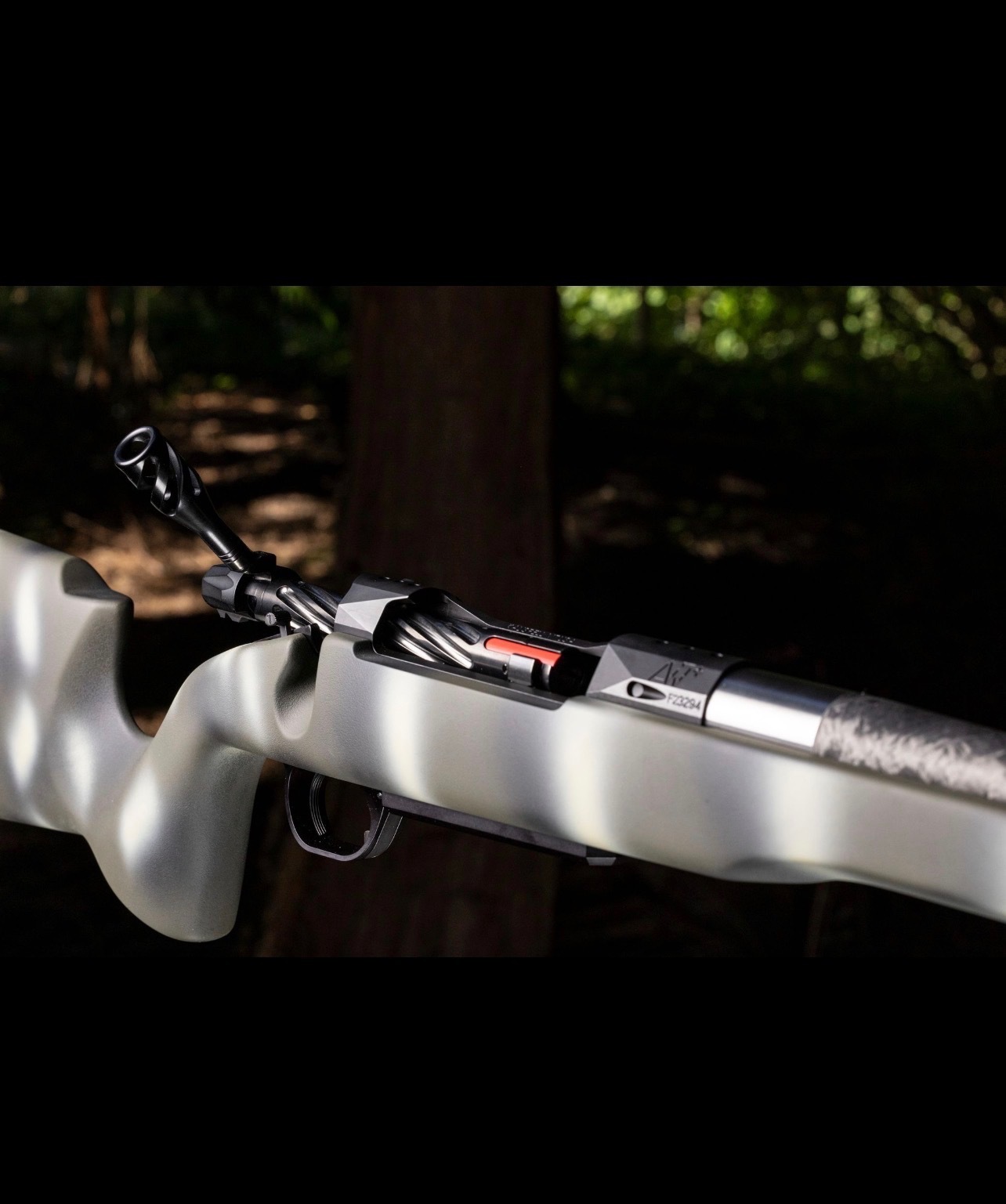 Custom Pistol