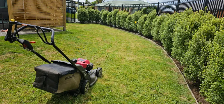L.A. Lawn Care recent work 2