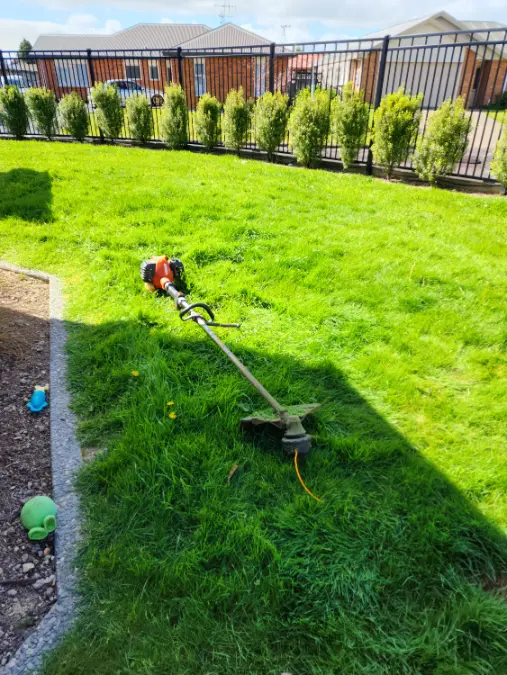 L.A. Lawn Care recent work 4