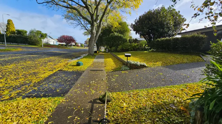 L.A. Lawn Care recent work 6