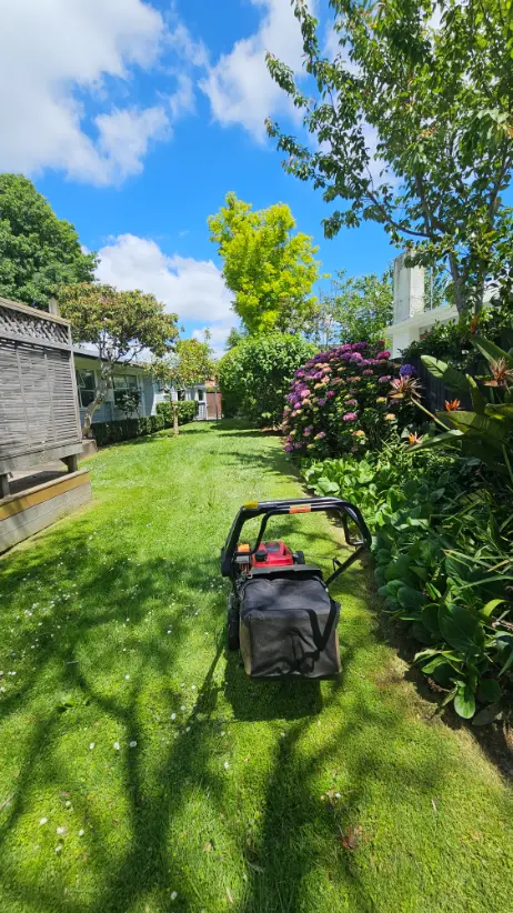 L.A. Lawn Care recent work 3
