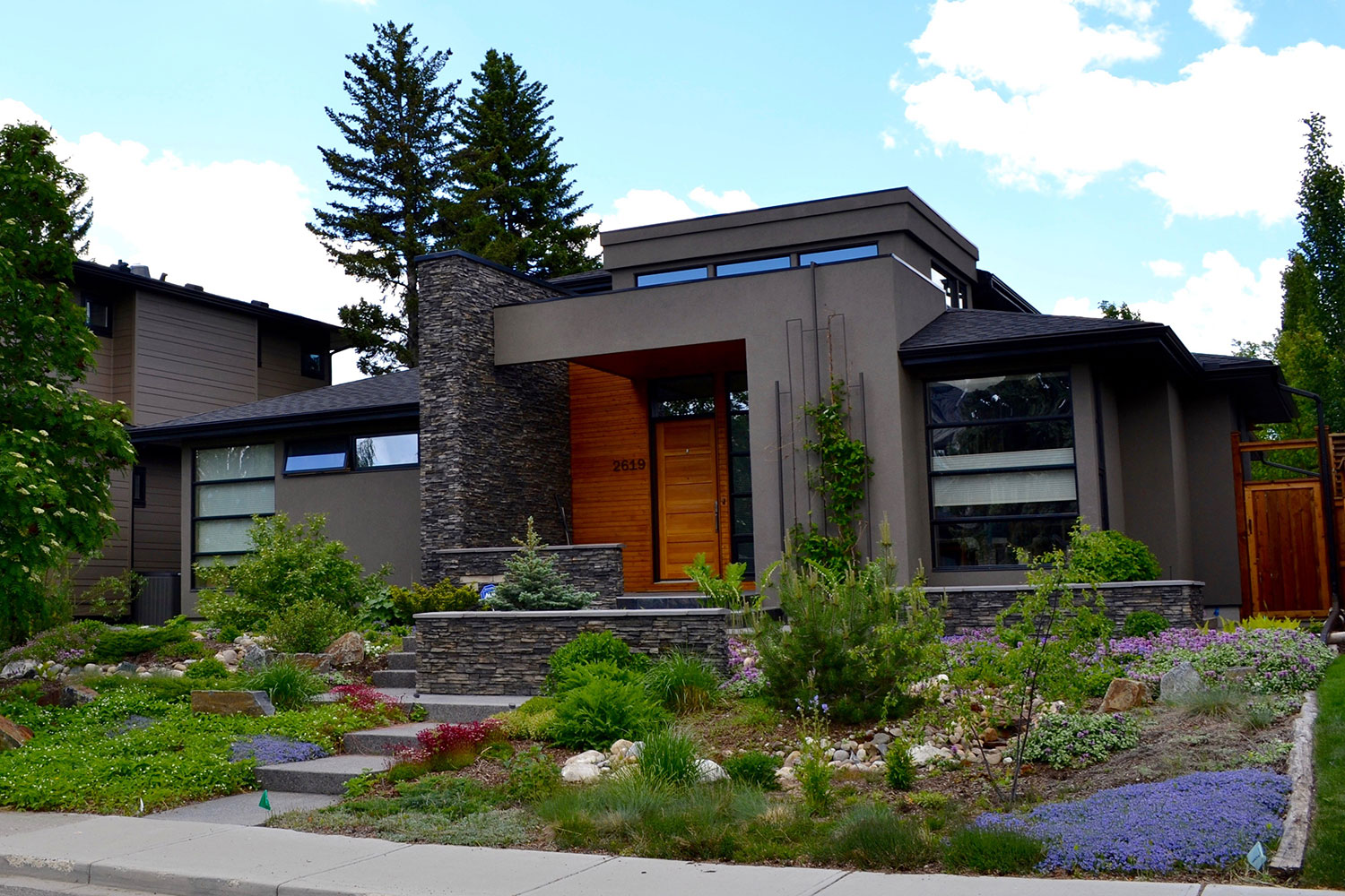 Modern Xeriscape