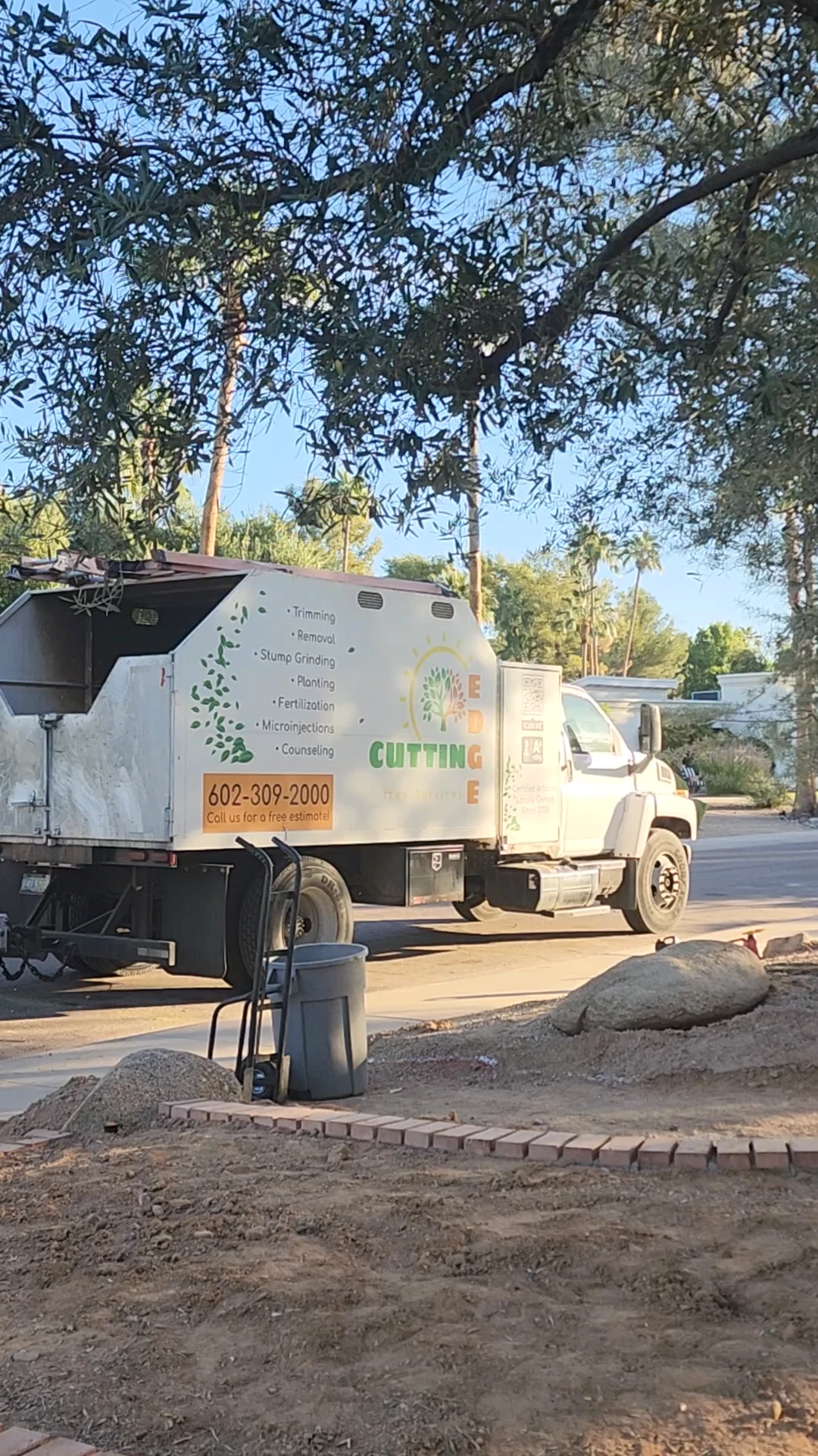 Recent tree service project 1