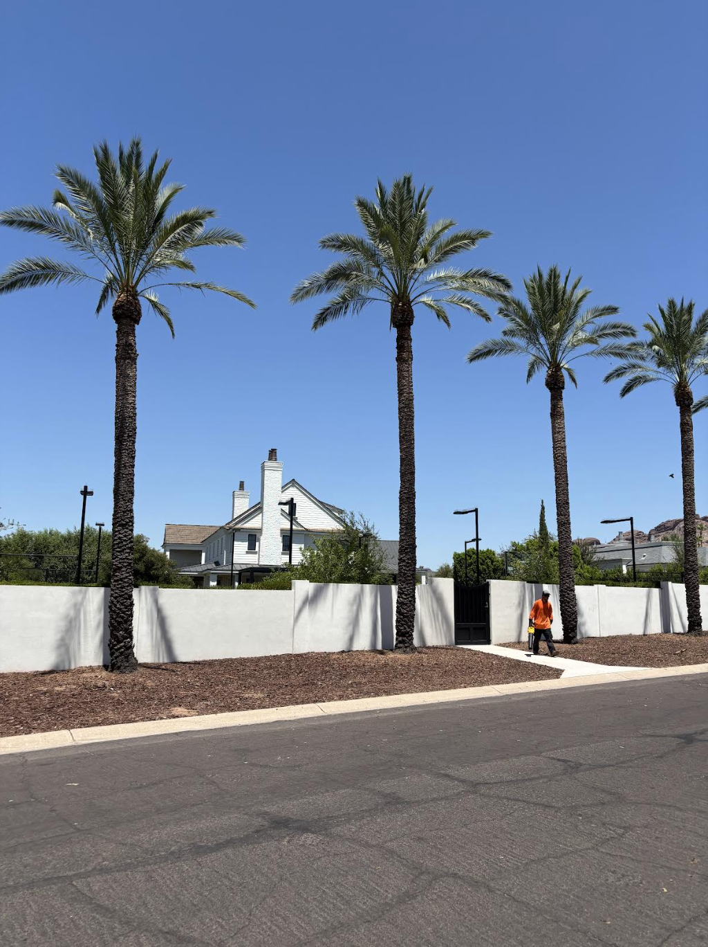 Tree contractor in Paradise Valley Arizona estate