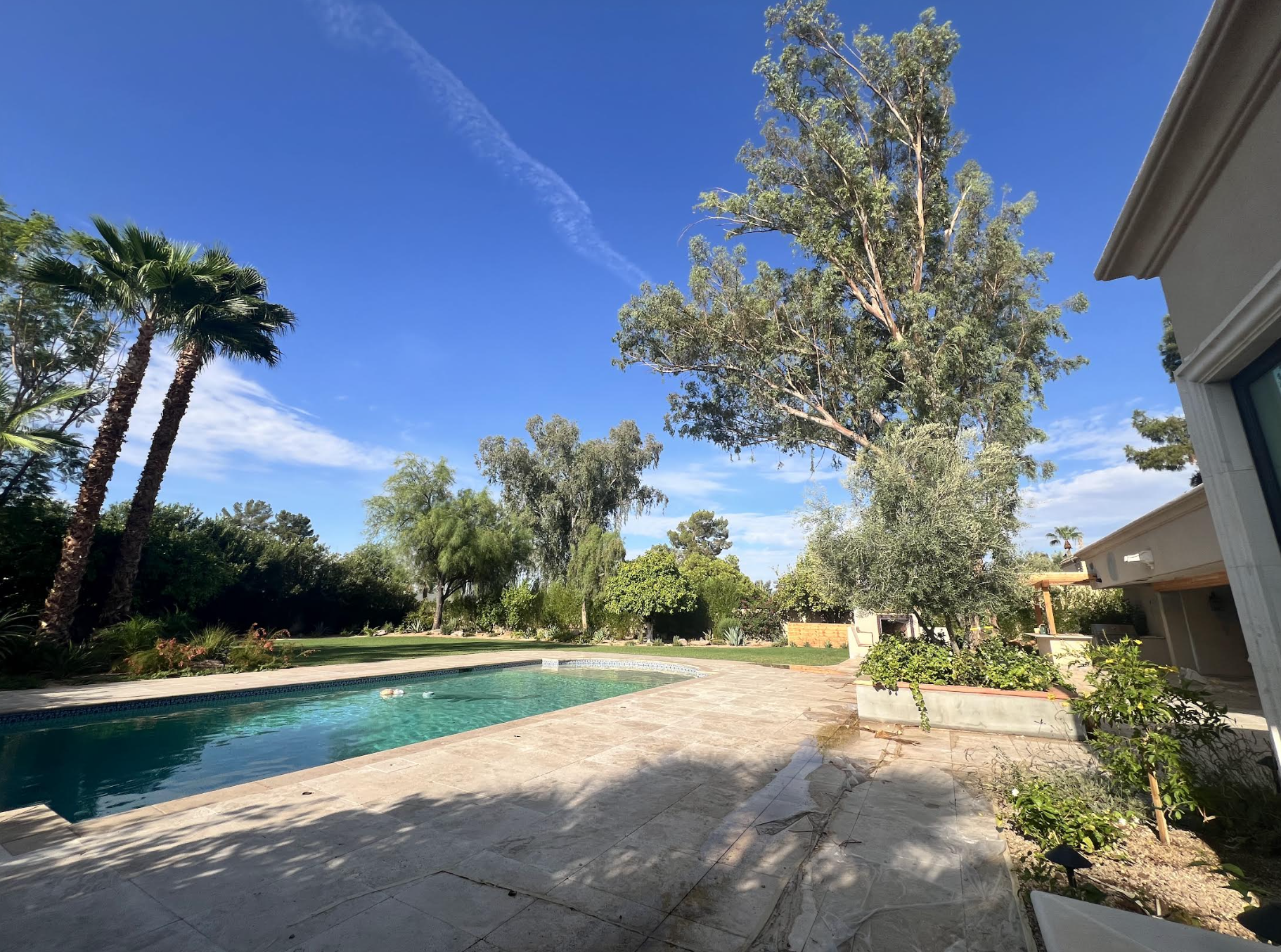 Beautiful backyard pool and trees in Mesa Arizona