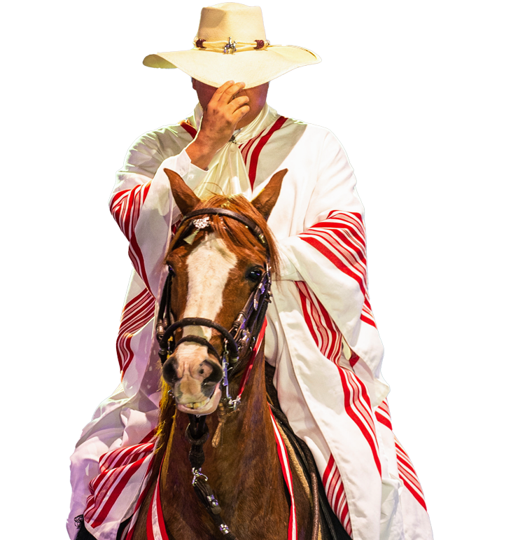 Chalán y Caballo Peruano de Paso — Asociación Cultural del Caballo Peruano de Paso