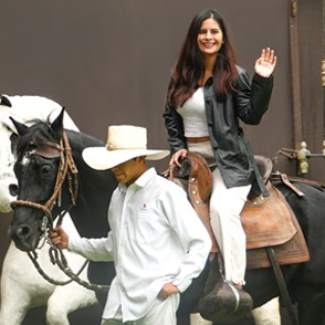 Show Dpaso