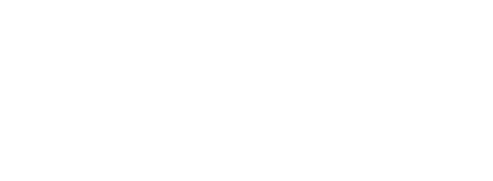 Revigen