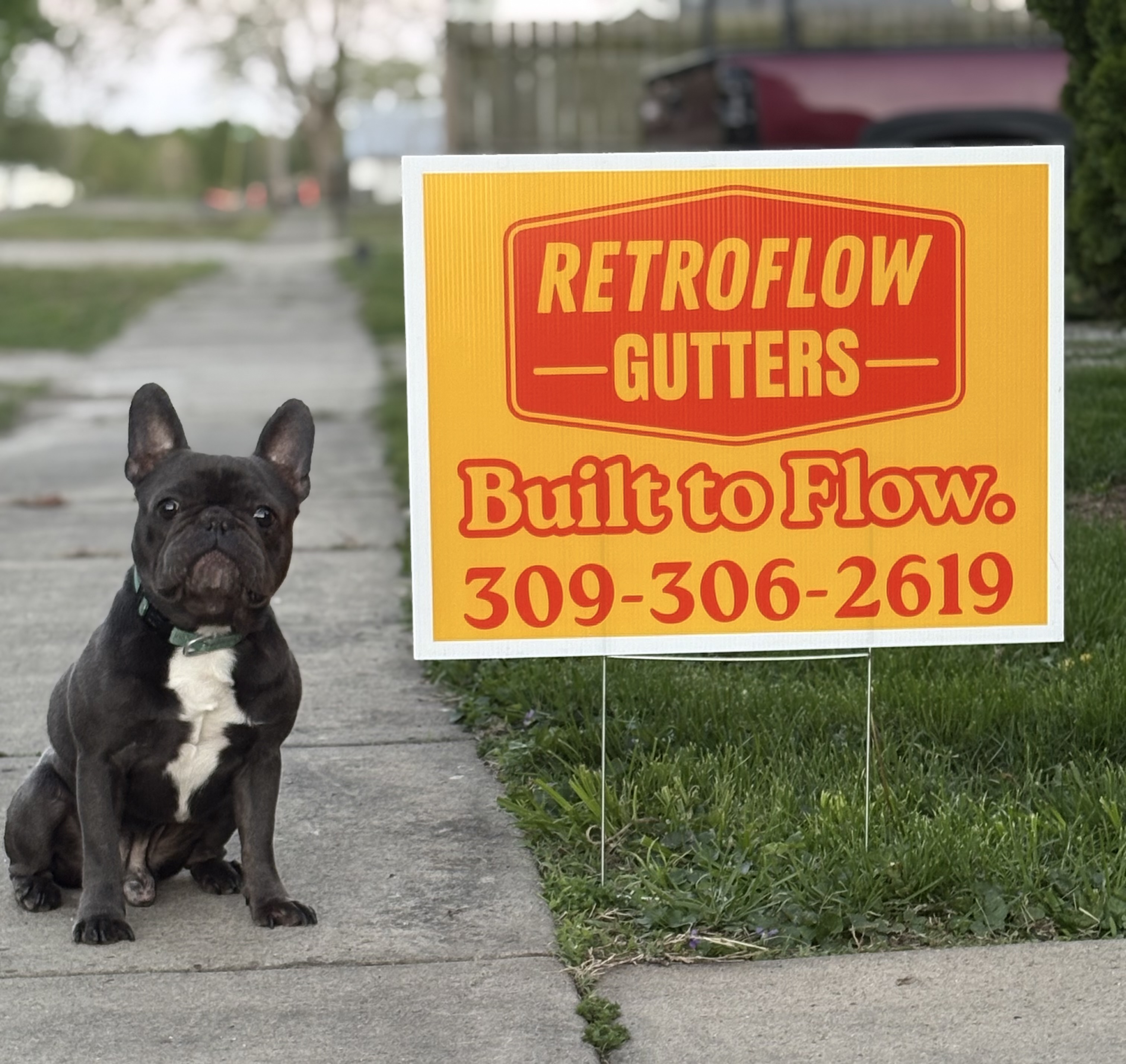 Sign in the yard — Quality control with four legs. in Central IL