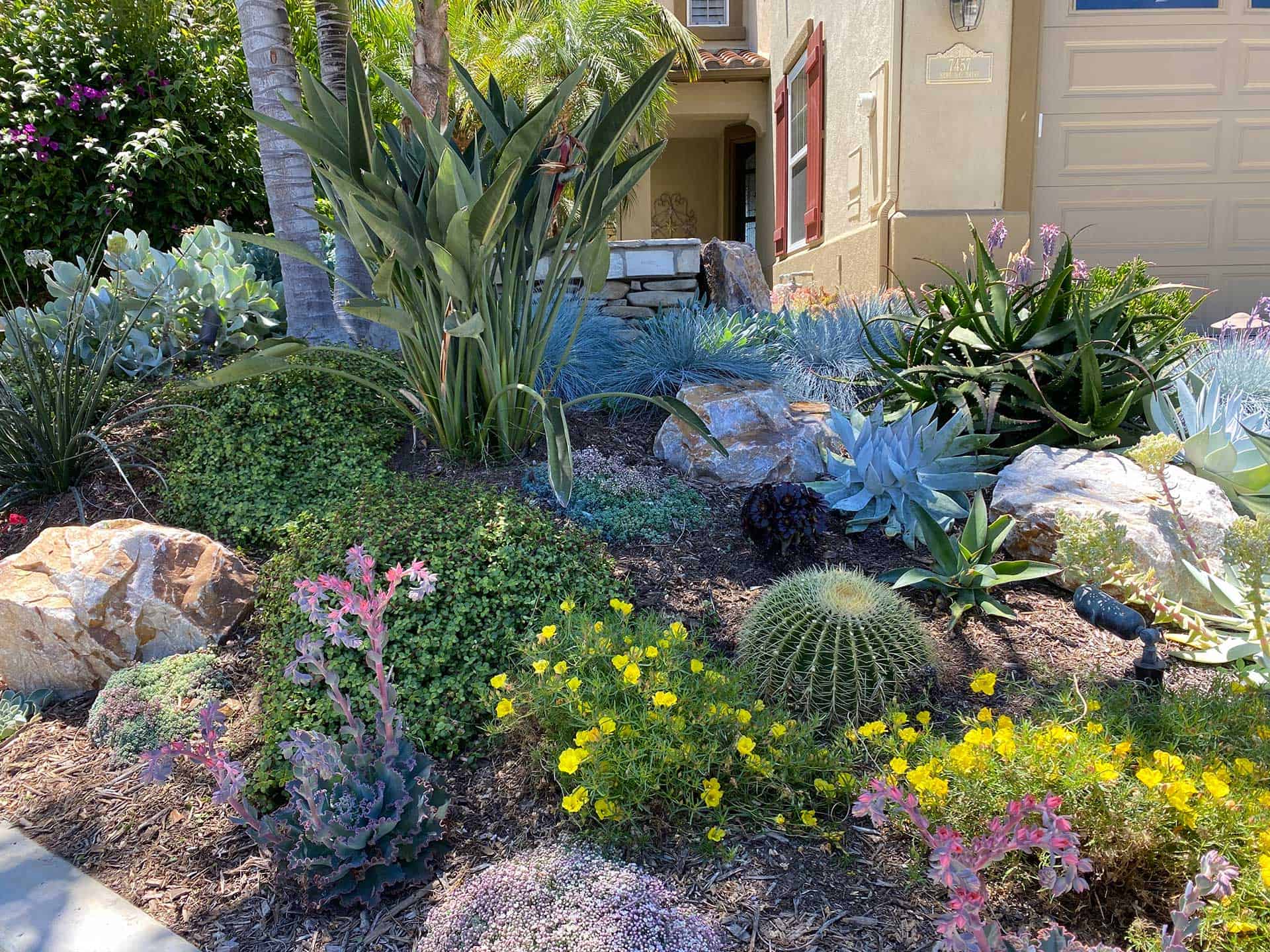 Drought-Tolerant Landscaping That Doesn't Look Like a Desert