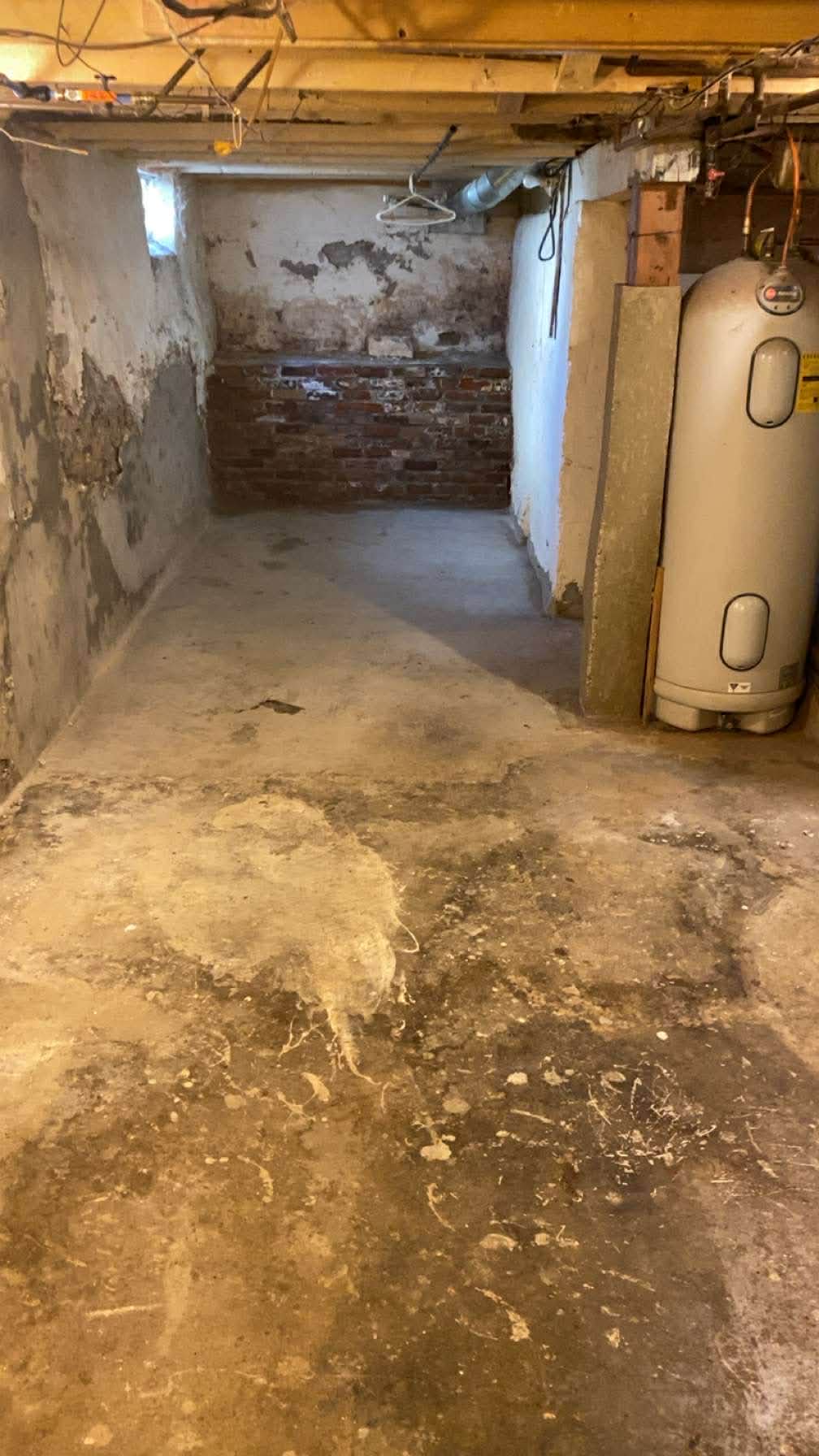 Deep Basement Cleanout After