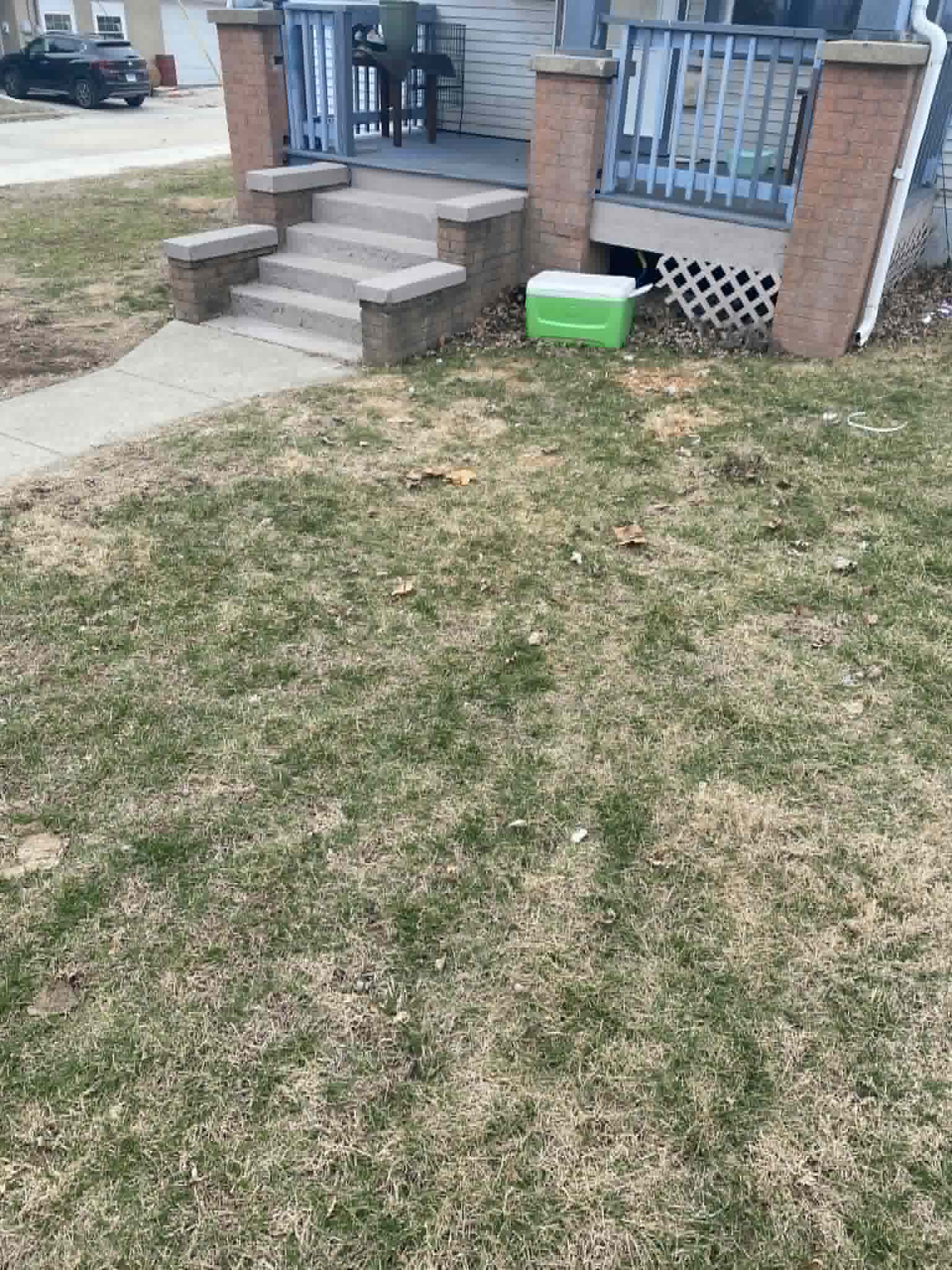Yard Debris After