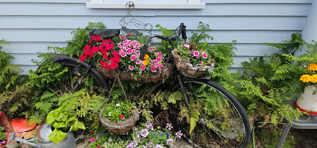 Garden services background