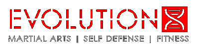 Evolution X Martial Arts