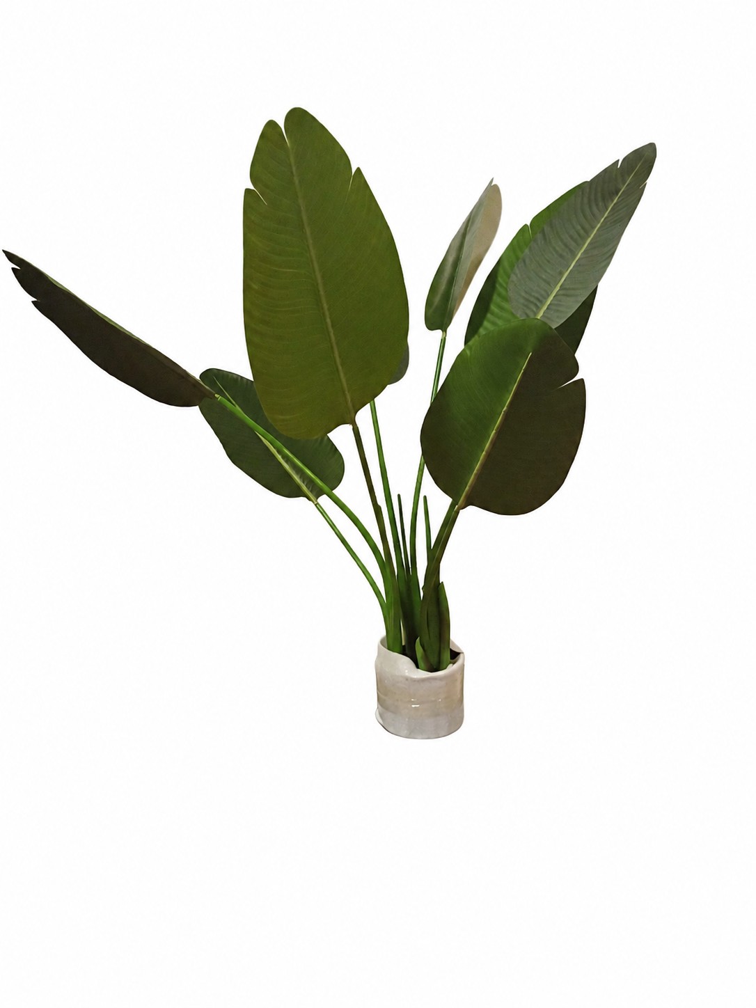 Faux Bonsai Tropical Banana Plant