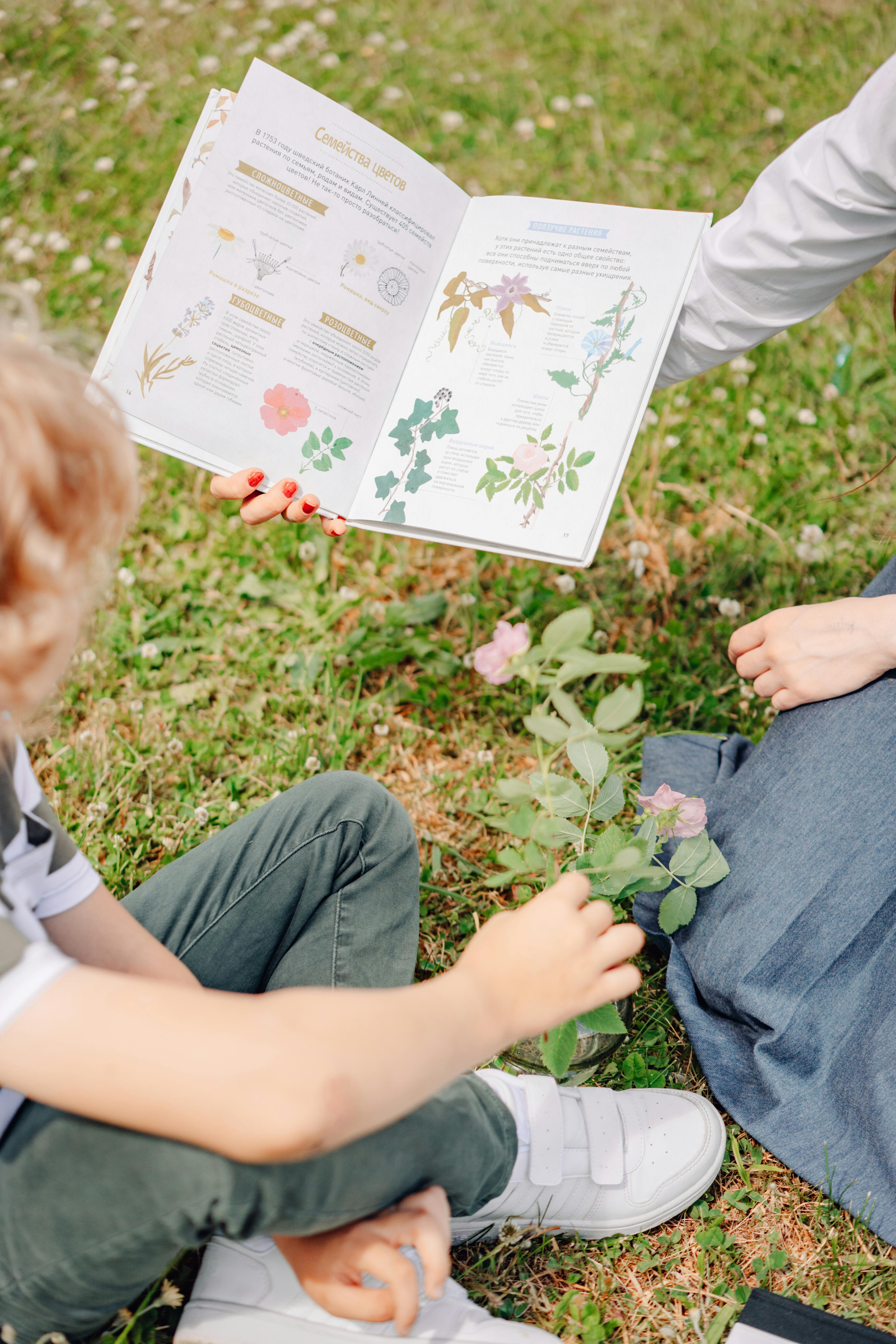 Children learning outdoors