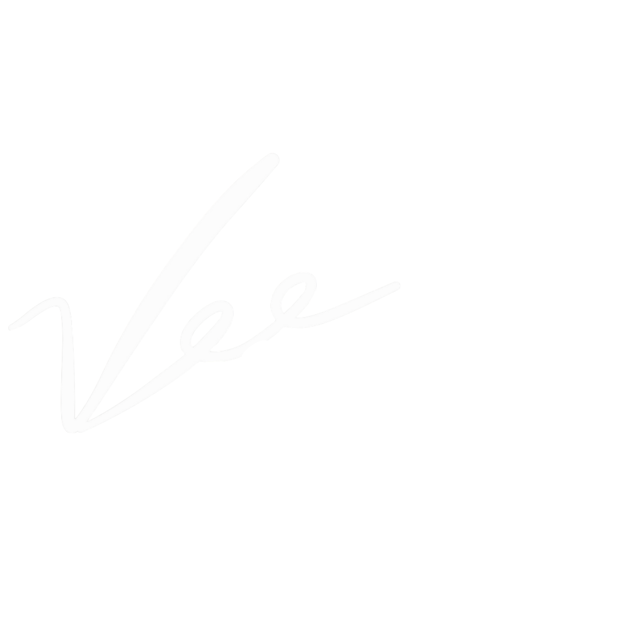 Vee Mentorship