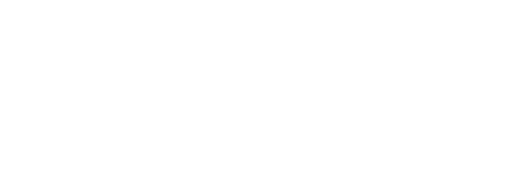 Aspen pienkonepolttoaineet