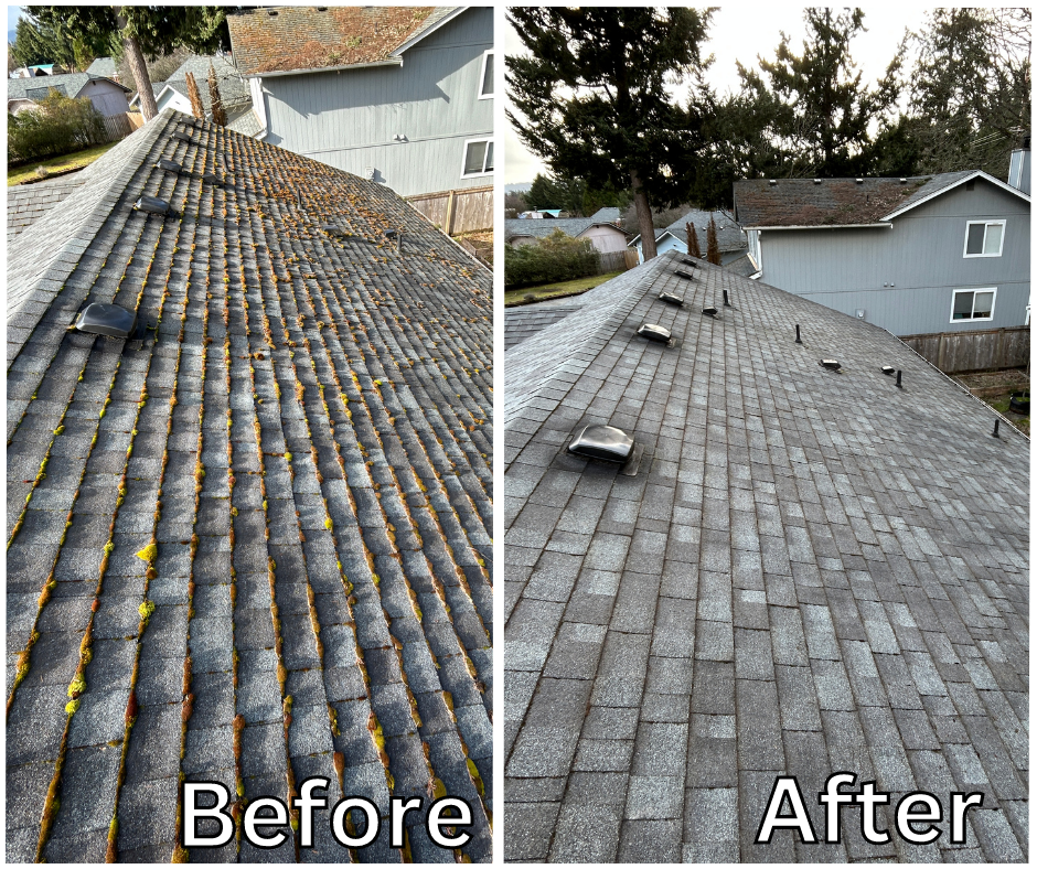 Before and After Shingle Roof Cleaning in Visalia, CA